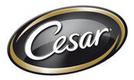Cesar cesar