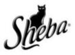 Sheba sheba