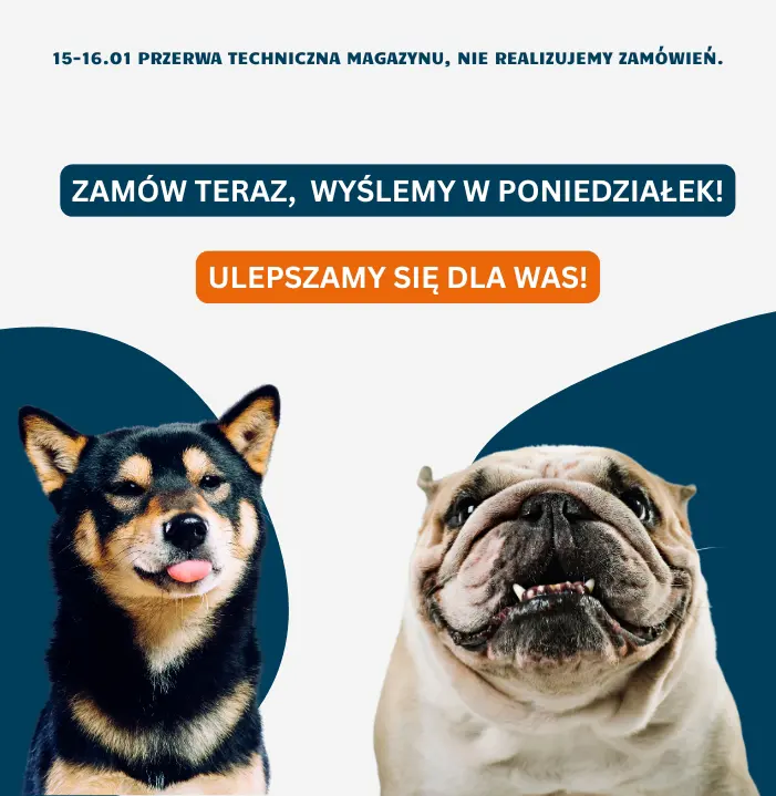Przerwa techniczna